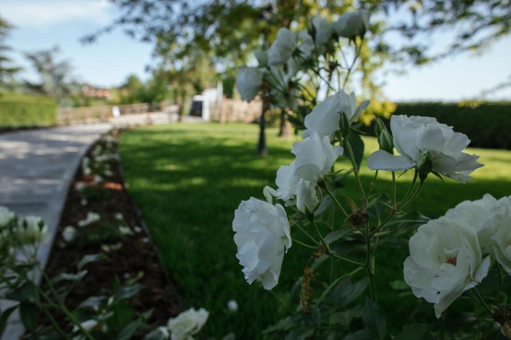 ホテル Agriturismo Bricco San Giovanni アスティ エクステリア 写真