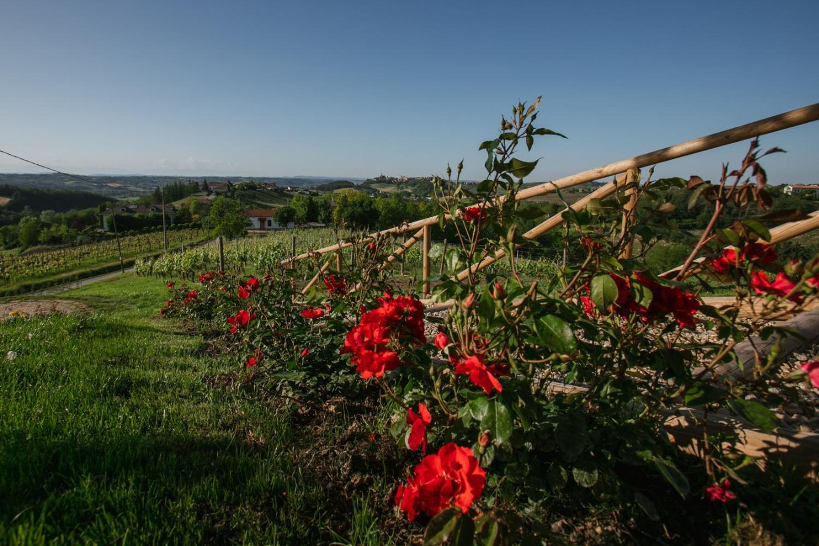 ホテル Agriturismo Bricco San Giovanni アスティ エクステリア 写真