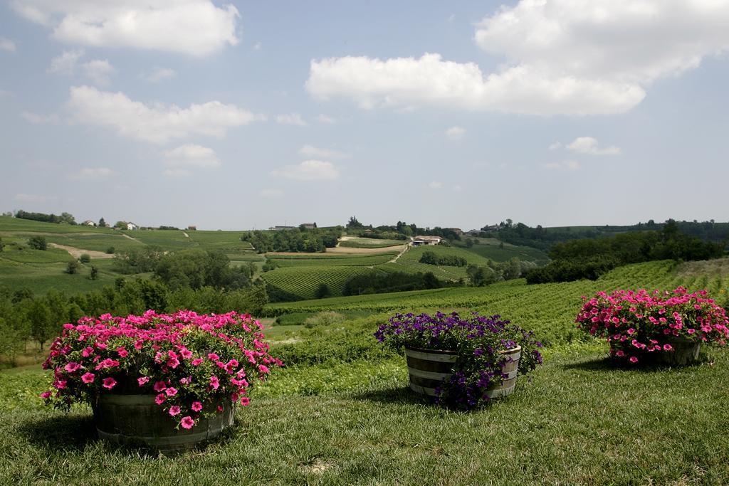 ホテル Agriturismo Bricco San Giovanni アスティ エクステリア 写真